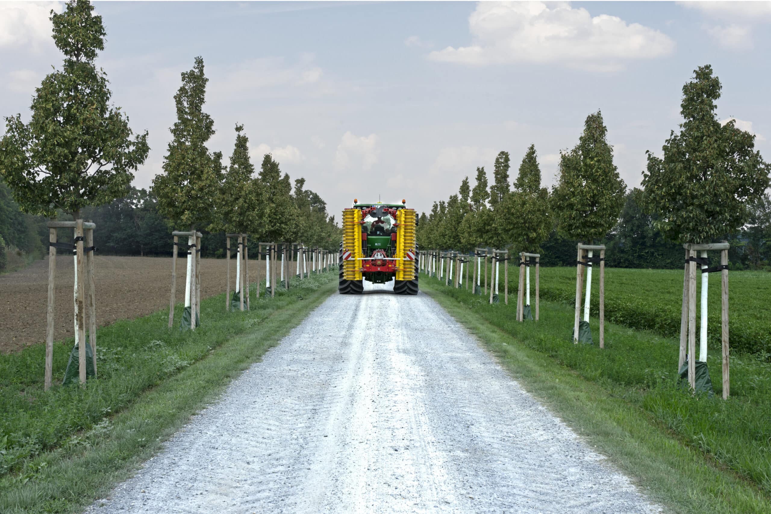 LION C Straßentransport